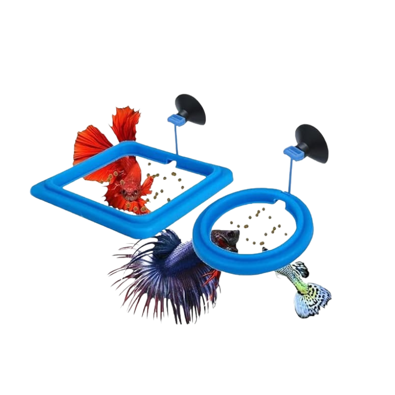 Fish Feeding Ring 10*3.2cm