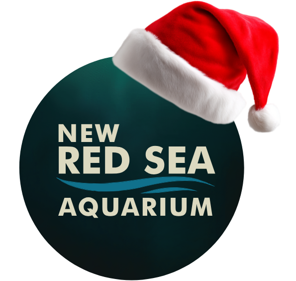 New Red Sea Aquarium