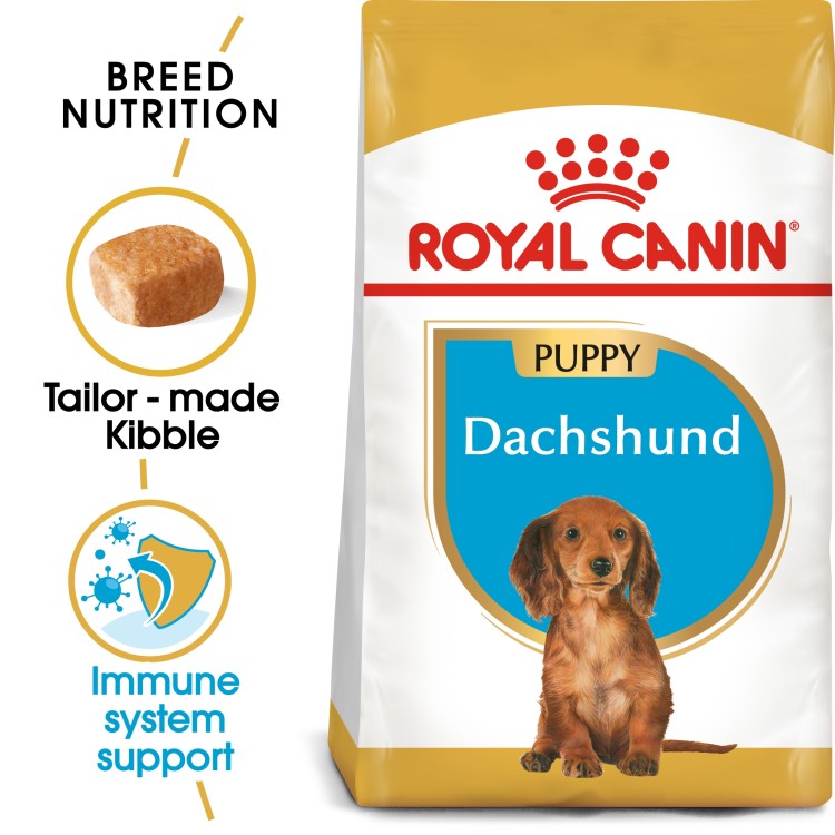 Breed Health Nutrition Dachshund Puppy