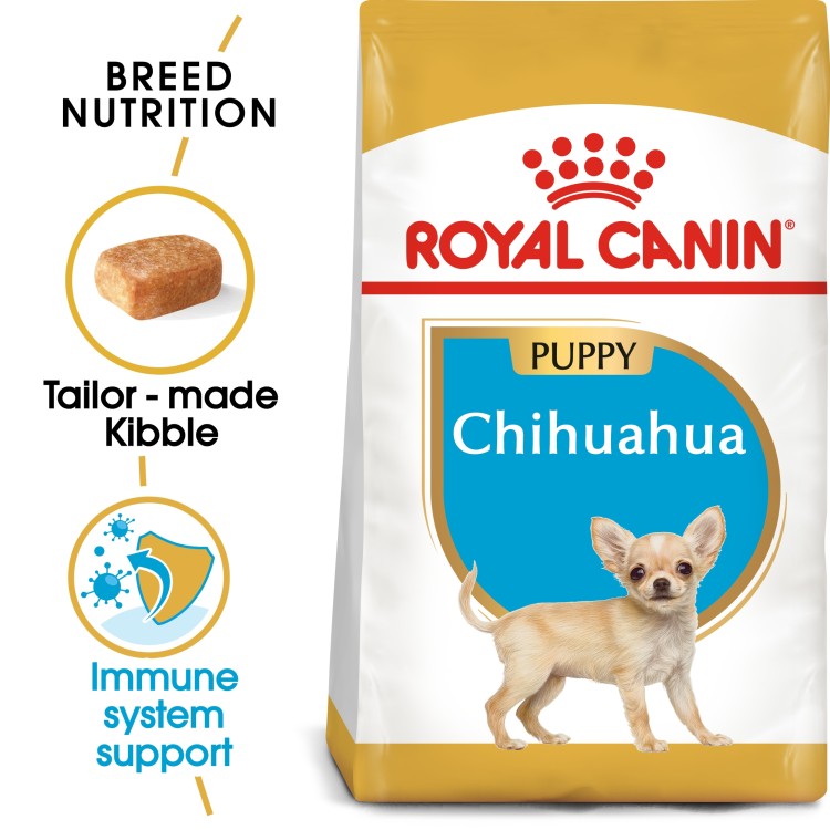 Breed Health Nutrition Chihuahua Puppy