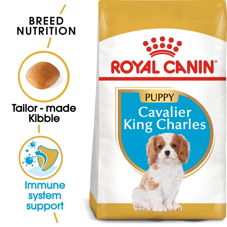 Breed Health Nutrition Cavalier King Charles Puppy