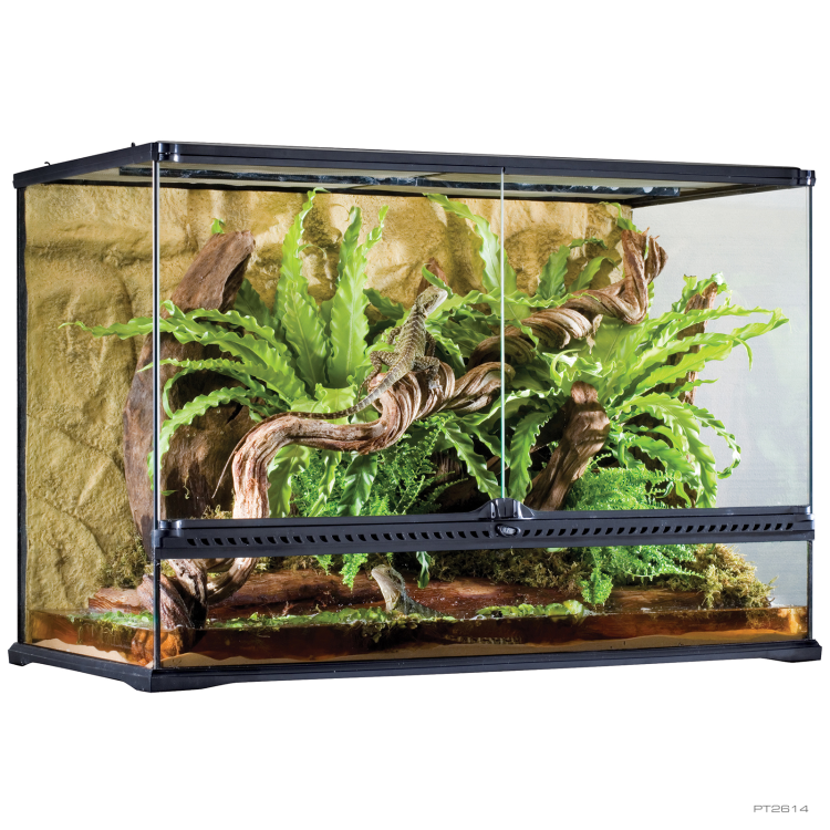 Exo Terra Terrarium Large
