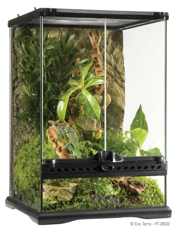 Exo Terra Natural Terrarium