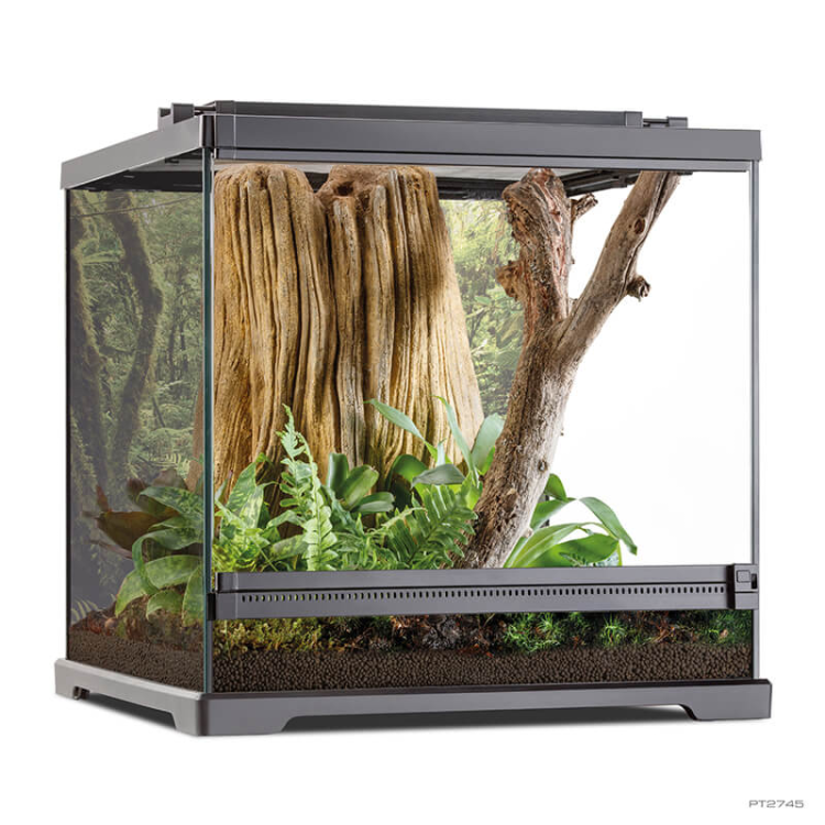 Exo Terra Dart Frog Terrarium - Amphibian Habitat