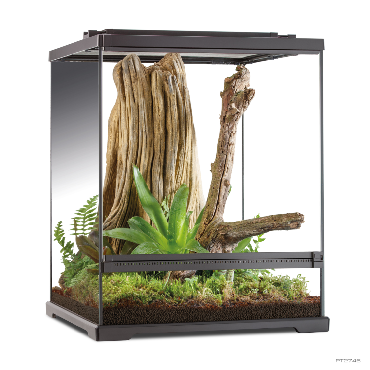 Exo Terra Dart Frog Terrarium - Amphibian Habitat