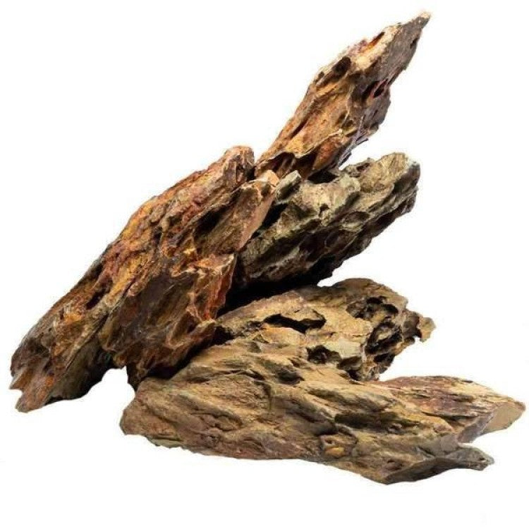 Alveolate Aquarium Rock – New Red Sea Aquarium
