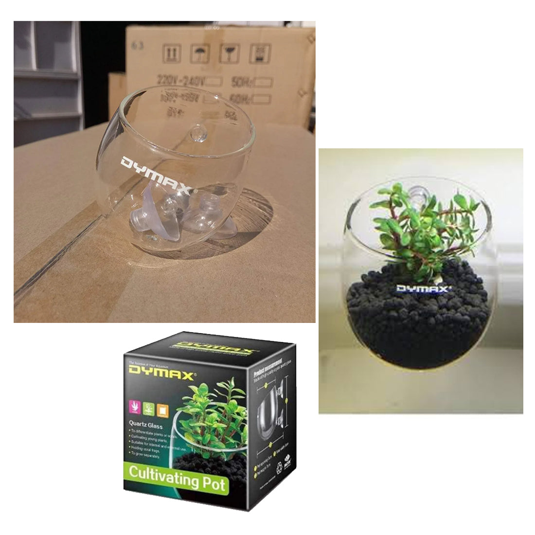 Crystal Cultivating Pot