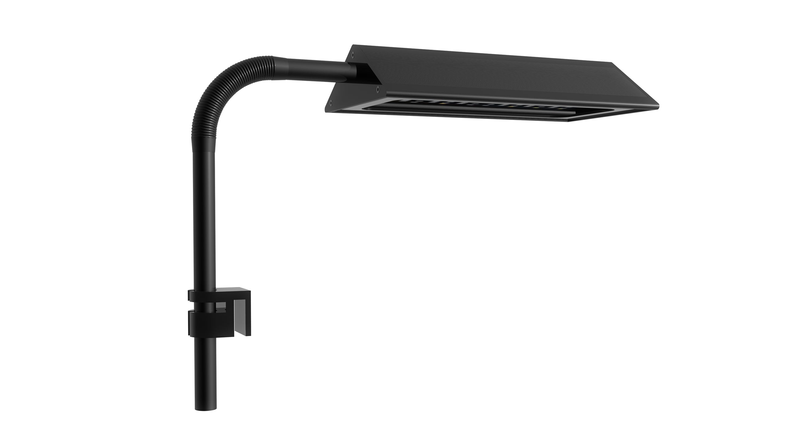 Micmol Prism (Planted)